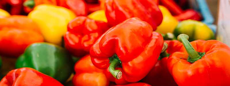 Paprika-triediaci-v-Rainbow