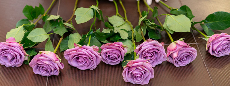 G. de Koning Bloemen