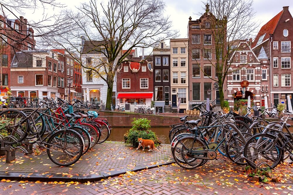 Deszczowa pogoda w Holandii. Amsterdam jesienią.